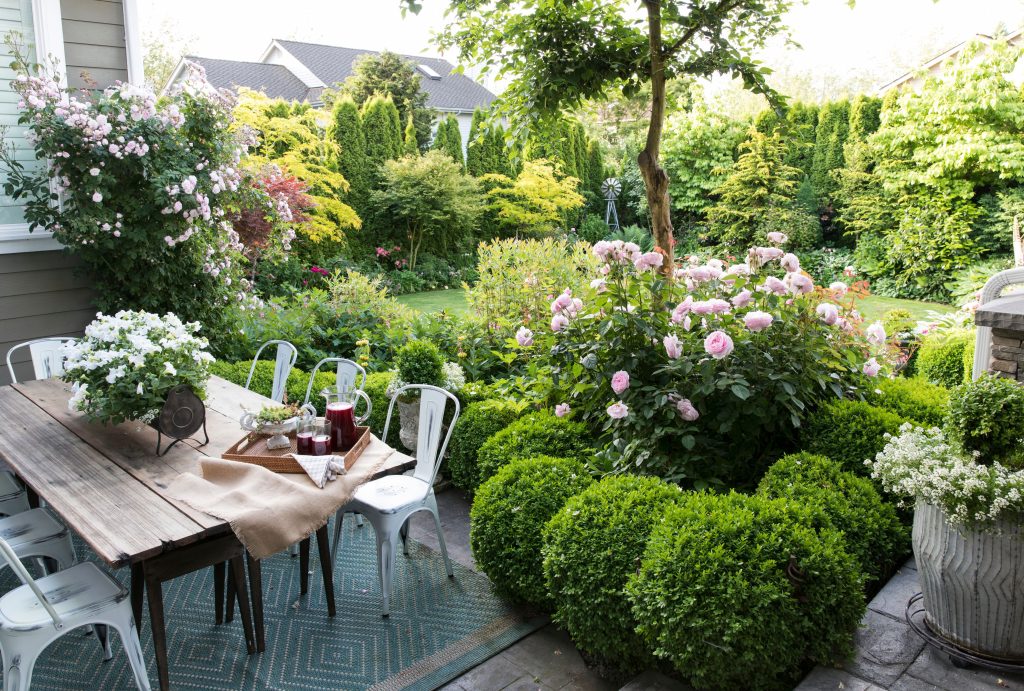 10 Must-Try Garden Projects to Embrace a 'Martha Stewart Summer'