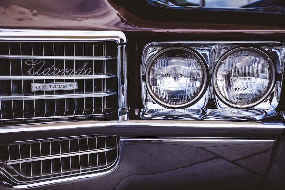 Iconic Models and Rare Editions in Star Garages