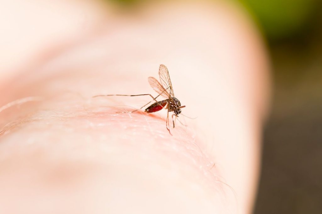 2 Dead Following 32 Cases of West Nile Virus