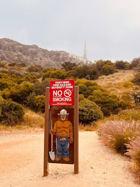 Hollywood Memes as a Cultural Phenomenon Shaping Online Trends