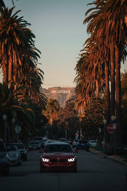 The Role of Social Media Platforms in Amplifying Hollywood Memes