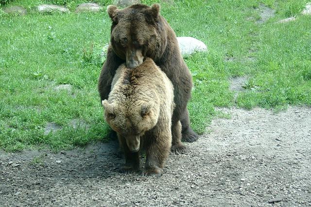 How Unexpected Pairings Influence Celebrity Branding and Image