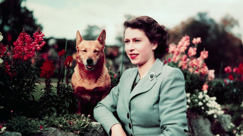 A Huge Exhibition of Queen Elizabeth's Wardrobe Is Coming to Buckingham Palace
