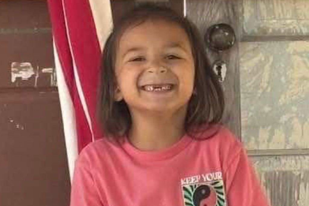 Boy Dies in 'Dog Attack' Despite Grandmother's Intervention, 9 Dogs Euthanized