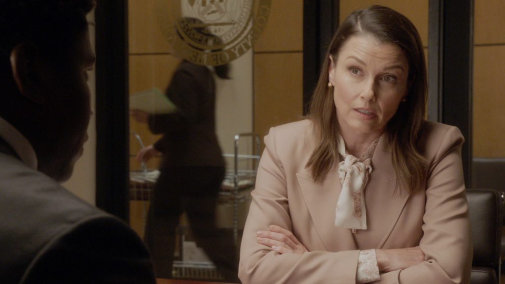Blue Bloods, Bridget Moynahan as Erin Reagan Boyle