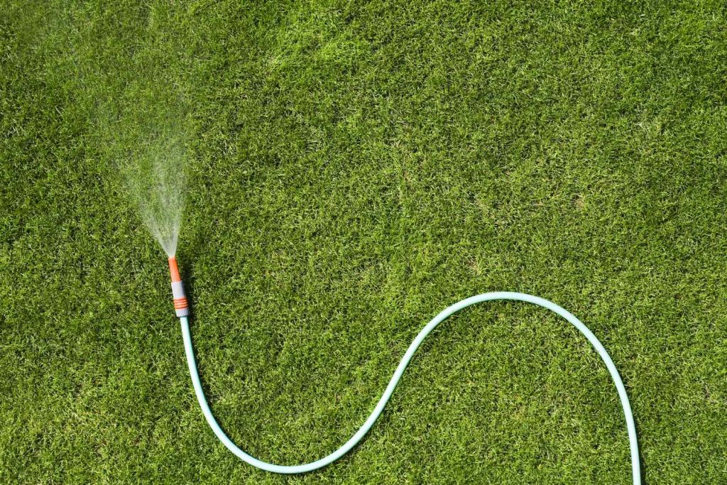 Experts Say You Should NEVER Water Your Lawn at This Time of Day