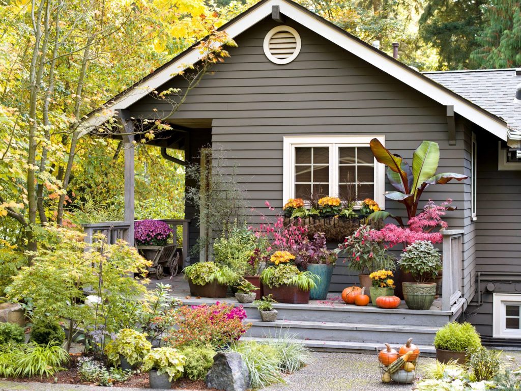 How Often to Water Your Container Plants to Save Them from the Heat