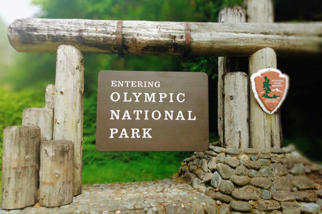 One Dead, Two Injured in Small Plane Crash in Olympic National Park