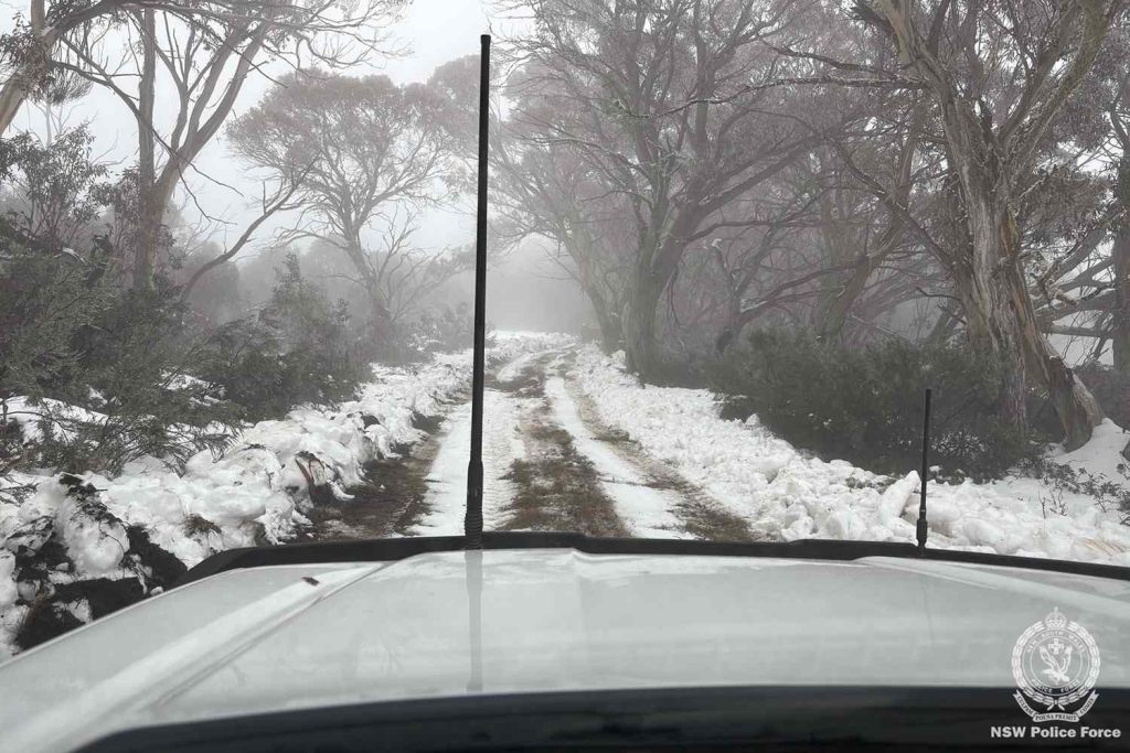 Pilot Missing After Plane Is Found Crashed in Snow-Covered Mountains