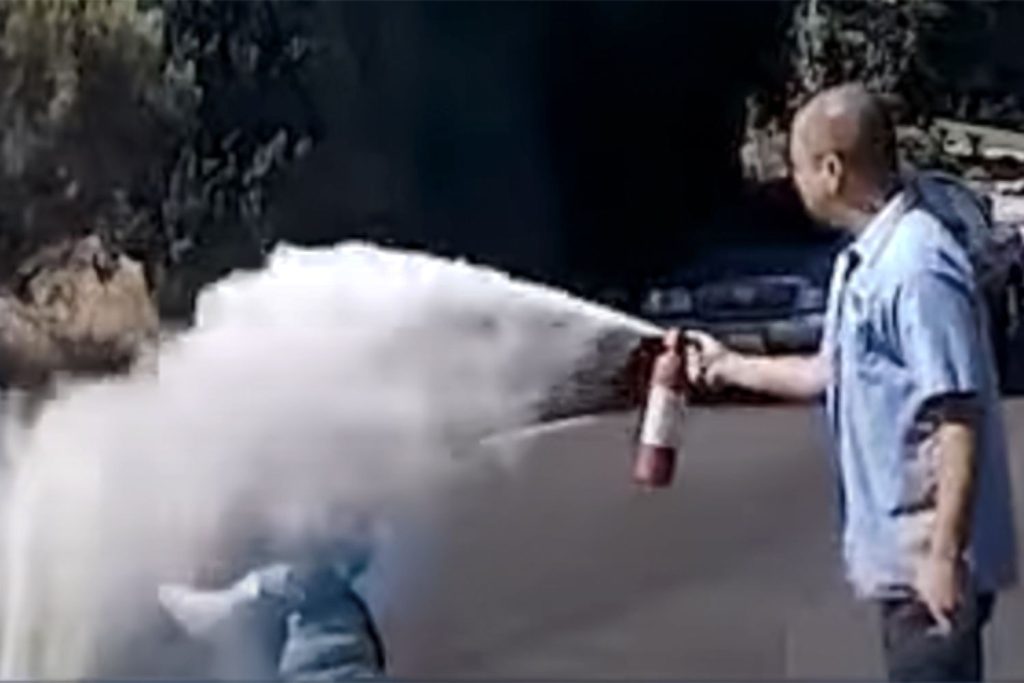 Plumber Steps in to Help Grandmother Being Attacked by Swarm of Bees