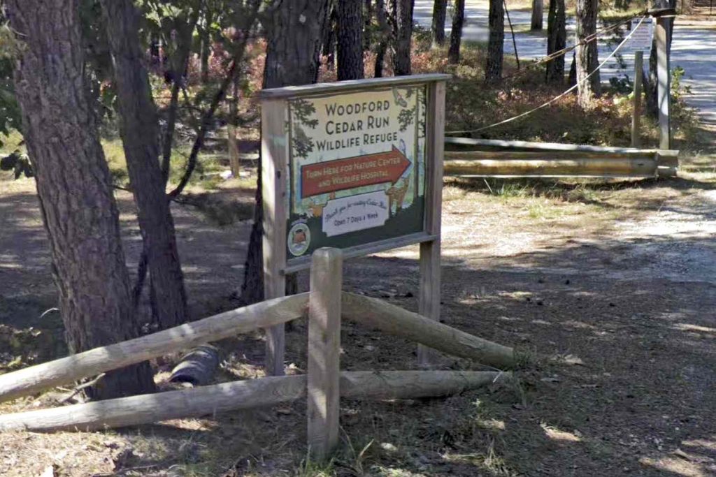 Search Ends Woman Last Seen Near N.J. Wildlife Refuge