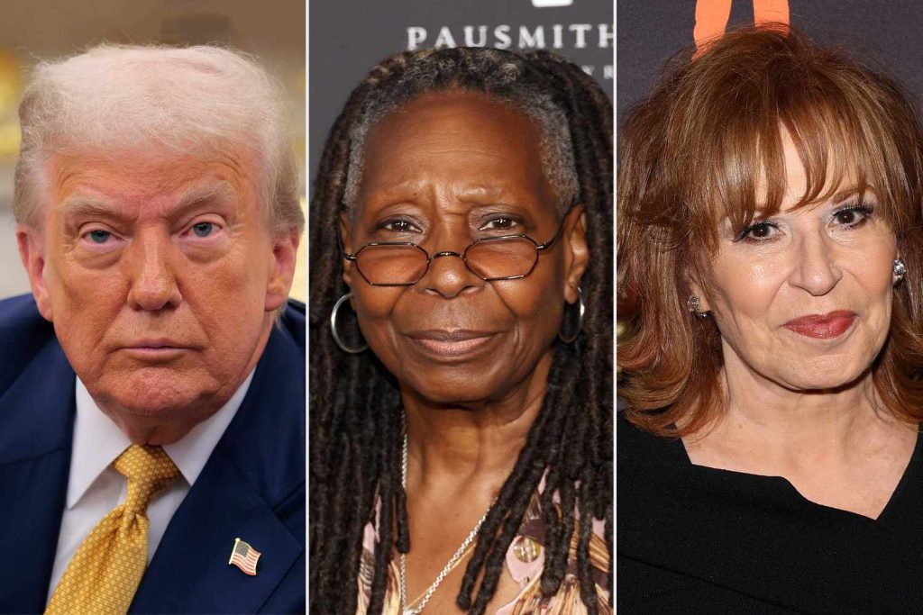 Trump's White House Warns 'The View' About Being 'Pulled Off the Air'