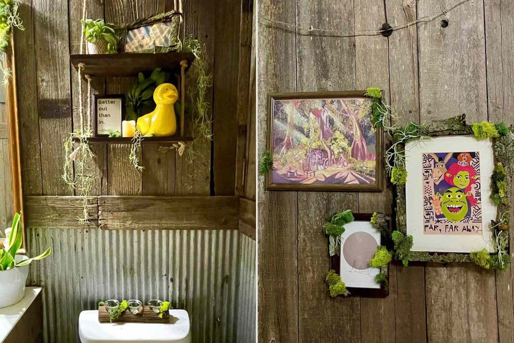Unable to Renovate Run-Down Bathroom, Woman Turns It Into Shrek's Swamp (Exclusive)