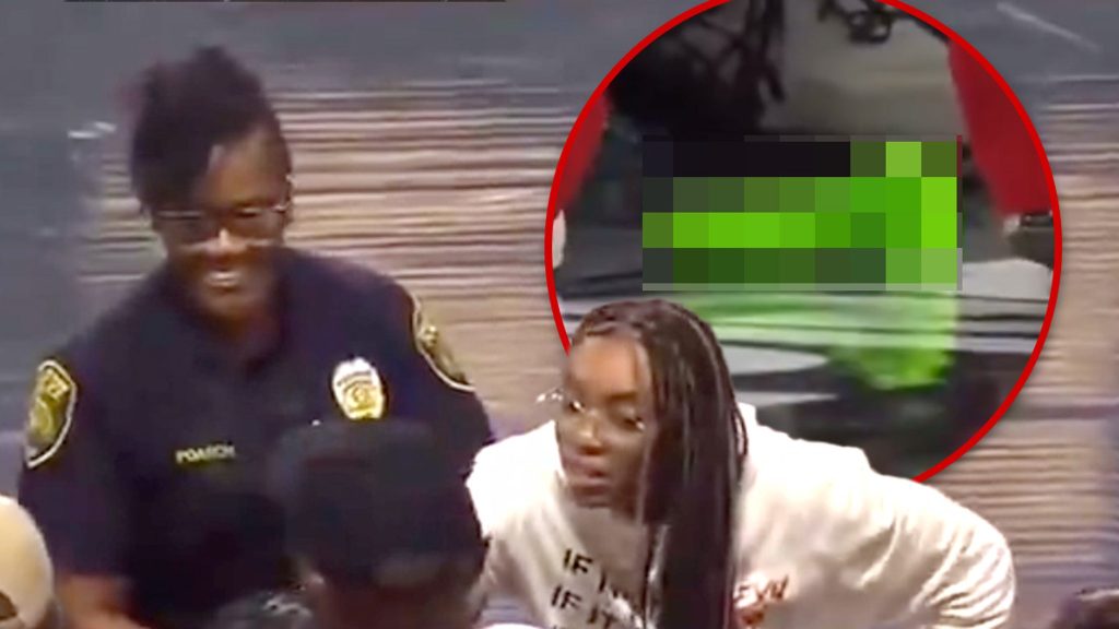 WNBA Game Delayed Over Flying Sex Toy
