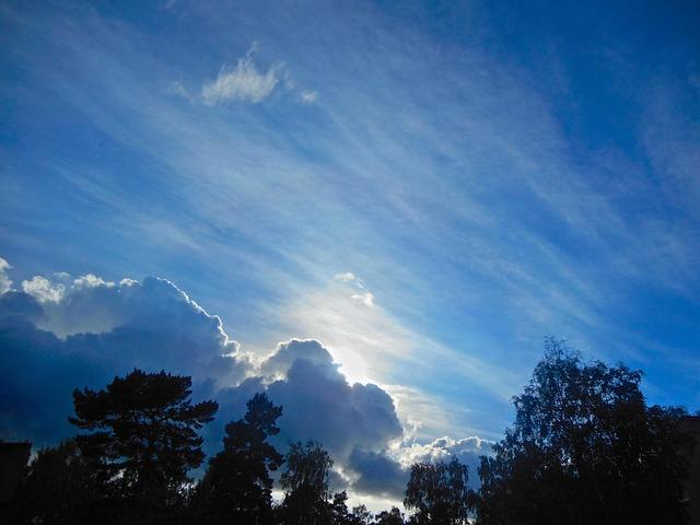 Lessons Fans Can Learn From Celebrities’ Recent Revelations