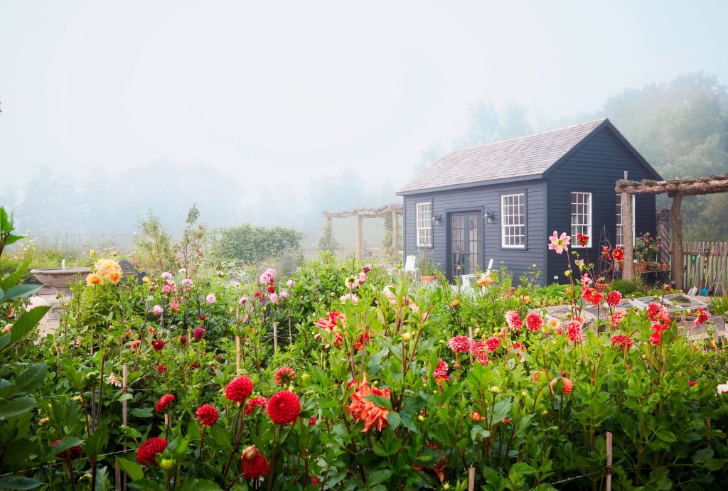 8 Tips for Creating a Raised Bed Garden That’s as Beautiful as It Is Bountiful