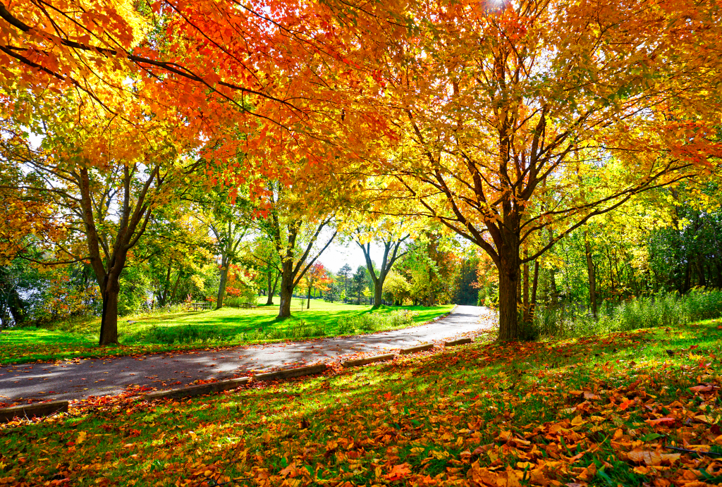 Here's When Fall Foliage Will Peak This Year, According to the Old Farmer’s Almanac