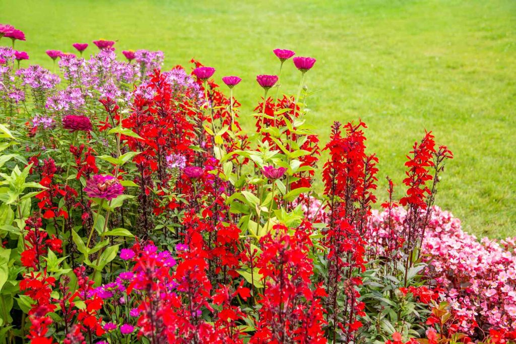 How to Mix Flower Colors for a Gorgeous Garden Every Time, According to Designers