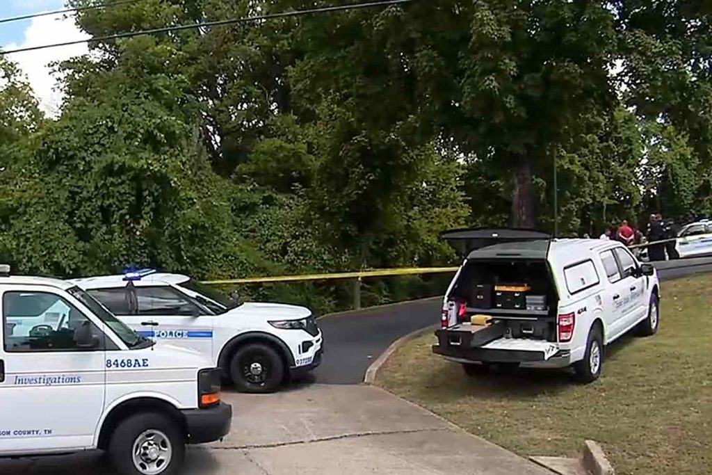 Human Skull Found 100 Feet from Headless Body in Area Behind McDonald’s