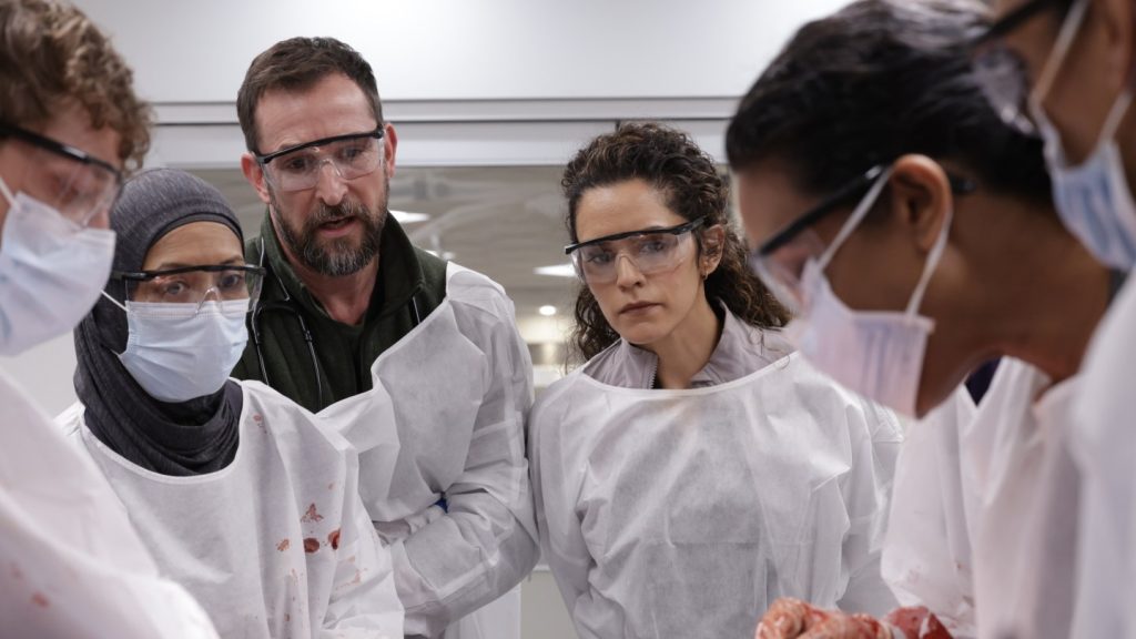 Nurse Dana, Langdon Return, New Character