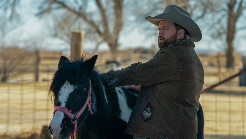 Paul Walter Hauser in Americana