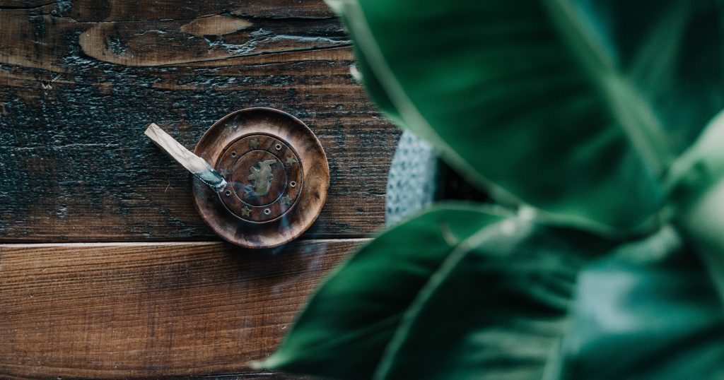 What Is Palo Santo? | PS Latina