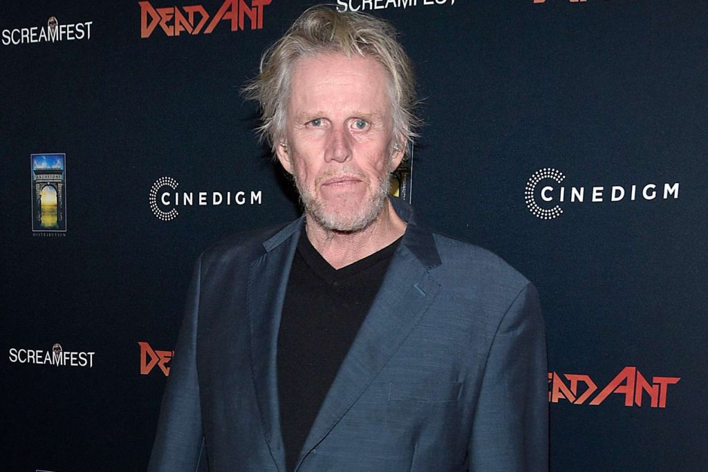 Gary Busey Sentenced to Probation for Sex Crime at 2022 Horror Convention