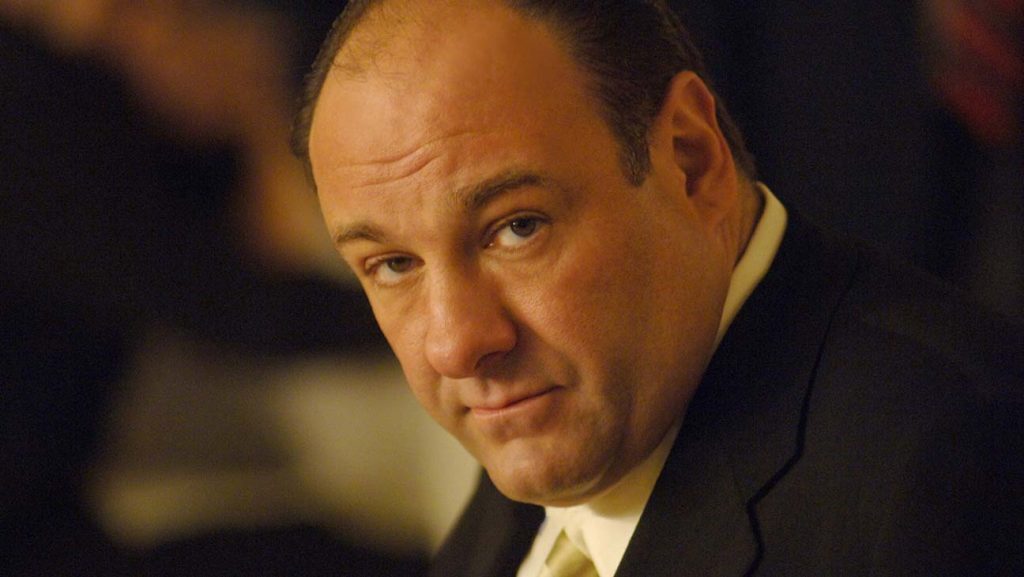 James Gandolfini (as Tony Soprano)