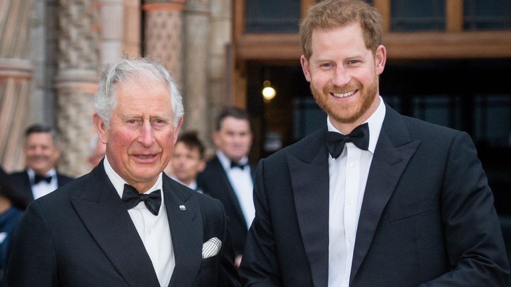 King Charles and Prince Harry Met Face to Face. Now "The Ball Is In Harry’s Court," Says Source