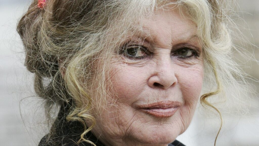 Brigitte Bardot Is in a “Worrying State” After a 3-Week Hospital Stay