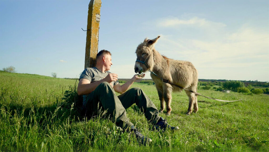 Ukraine-Set Doc Offers a Hopeful Vision The Ark