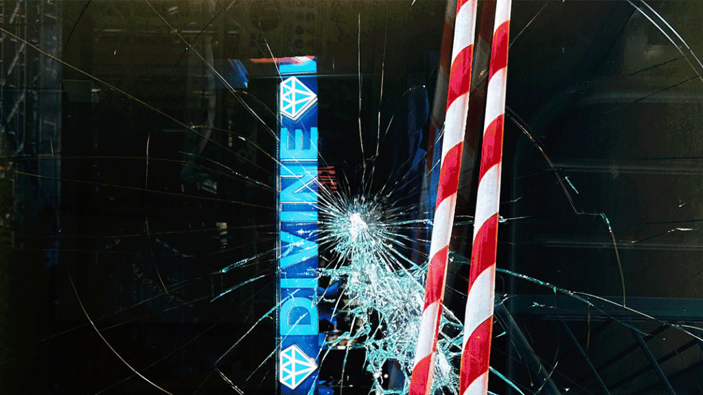 Decolonising Every Day: A Calendar Zine by Carmen Daneshmandi