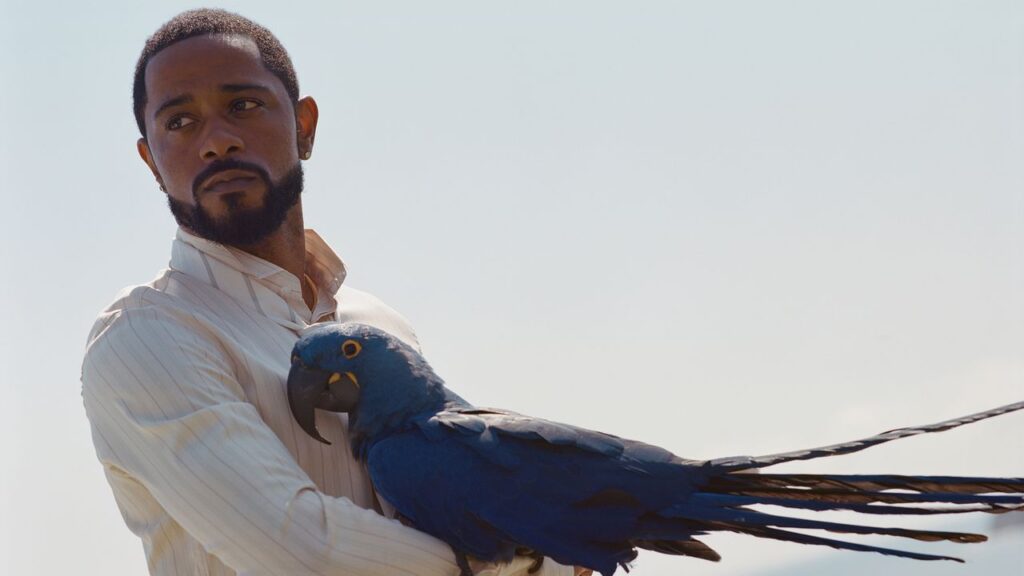 Just Try to Pin Down LaKeith Stanfield