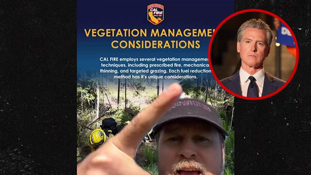 Spencer Pratt Rips Gavin Newsom for Palisades Fire, Says Lawyers Are Dumb or Liars
