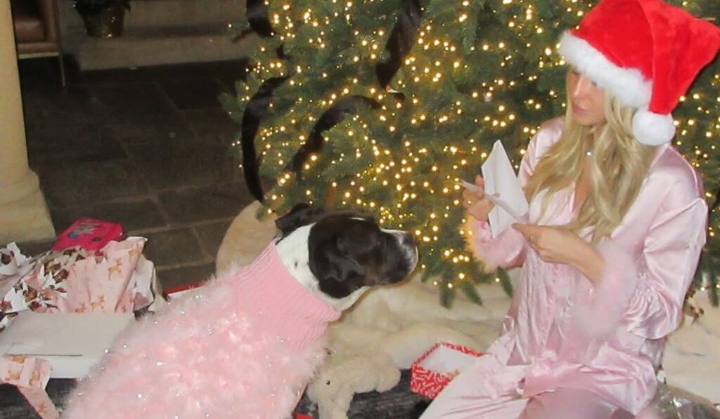 Influencer Alix Earle Adopts Her Foster Dog Asia on Christmas