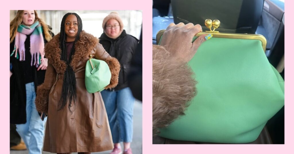 Coach Kisslock Frame Bag Review with Photos Coach Kisslock Frame Bag Review with Photos