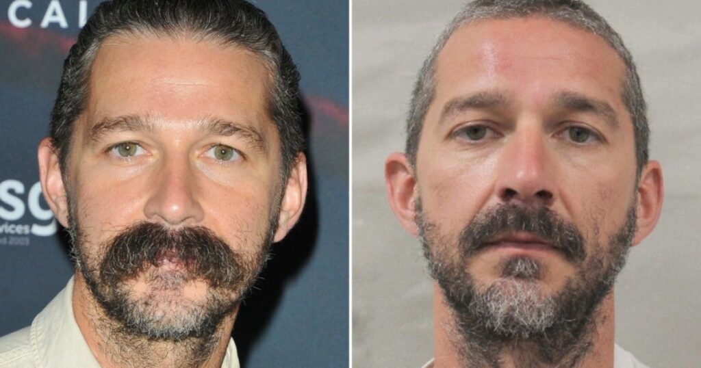 Shia LaBeouf Says ’Gay People Are Scary to Me’ When Discussing Recent Mardi Gras Arrest - InTouch Weekly