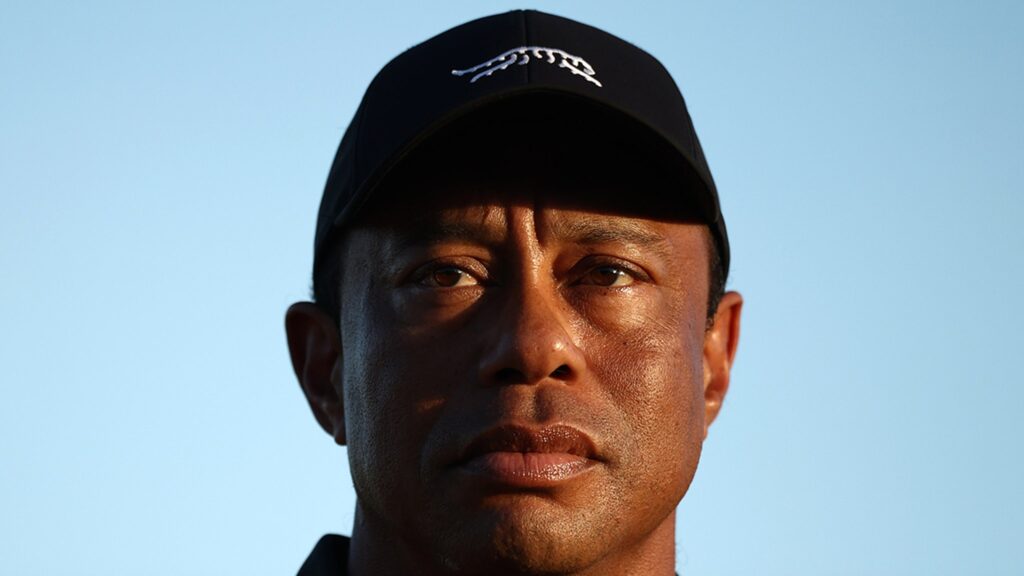 Tiger Woods Seeking Treatment After DUI Arrest Tiger Woods Seeking Treatment After DUI Arrest