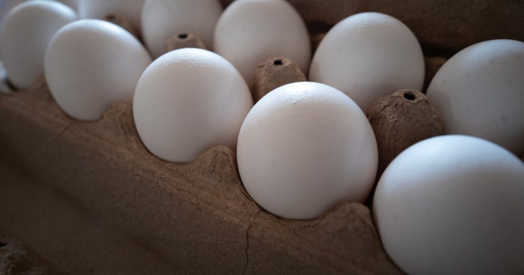 TikTok’s Frozen Egg Trend Gets FDA and USDA Warning