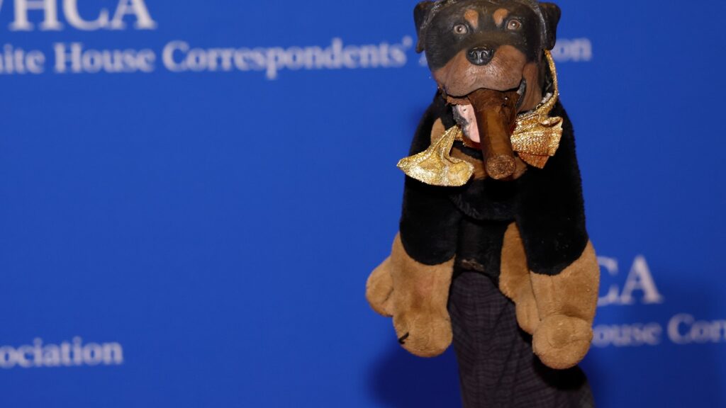 Triumph the Insult Comic Dog Roasts Pete Hegseth, Karoline Leavitt