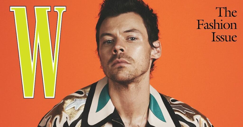 Harry Styles Is Still Getting Used to Being Harry Styles