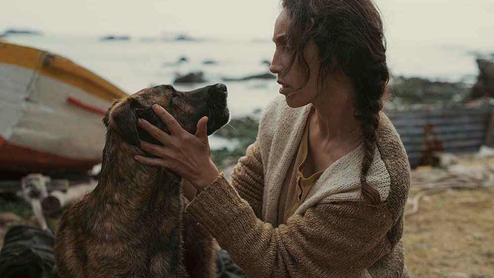 Dominga Sotomayor’s Cannes Film ‘La Perra’ Sells Internationally Dominga Sotomayor's Cannes Film 'La Perra' Sells Internationally